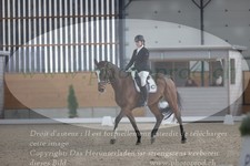ref. photo 3383162