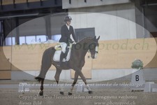 ref. photo 3383213
