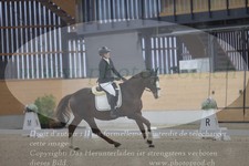 ref. photo 3383222