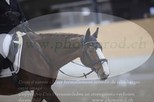 ref. photo 3383231