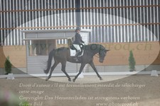 ref. photo 3383250