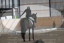 ref. photo 3383259