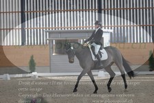 ref. photo 3383262
