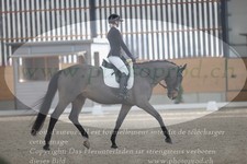 ref. photo 3383272