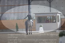 ref. photo 3383276