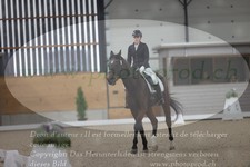 ref. photo 3383312