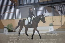 ref. photo 3383320