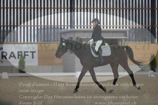 ref. photo 3383324