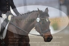 ref. photo 3383334