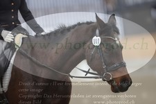ref. photo 3383335