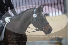 ref. photo 3383336