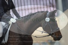 ref. photo 3383337