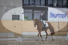 ref. photo 3383414