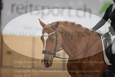 ref. photo 3383428