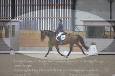 ref. photo 3383446