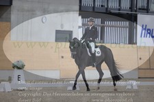 ref. photo 3383565