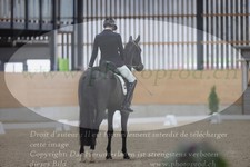 ref. photo 3383569