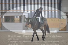 ref. photo 3383612