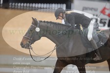 ref. photo 3383615