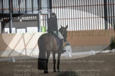 ref. photo 3383646