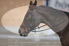 ref. photo 3383667