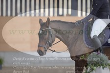 ref. photo 3383669