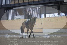 ref. photo 3383678
