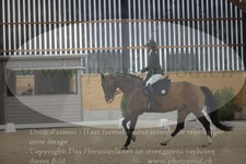ref. photo 3383688