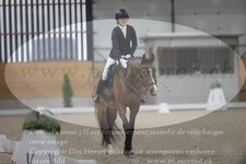 ref. photo 3383692