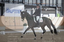 ref. photo 3383709