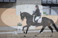 ref. photo 3383711