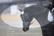 ref. photo 3383754