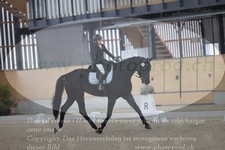 ref. photo 3383756