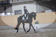 ref. photo 3383757