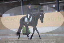 ref. photo 3383758