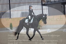 ref. photo 3383766
