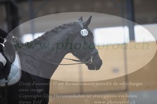 ref. photo 3383777