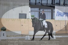 ref. photo 3383785