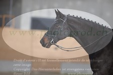 ref. photo 3383805