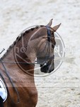 ref. photo 4050738