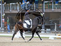 ref. photo 4050934