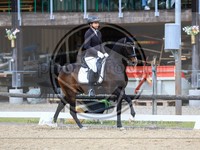 ref. photo 4050941