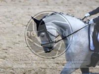 ref. photo 4051947