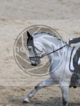 ref. photo 4051952