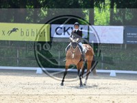 ref. photo 4052307