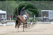 ref. photo 3592390