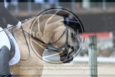 ref. photo 3592471