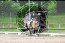 ref. photo 3592493