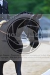 ref. photo 3592551