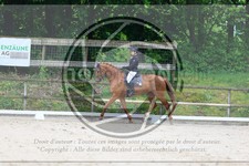 ref. photo 3592594
